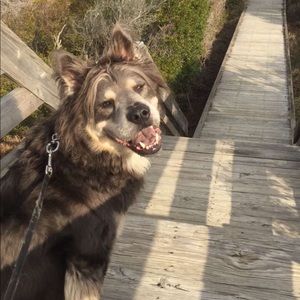 Meet your Posher, Cole